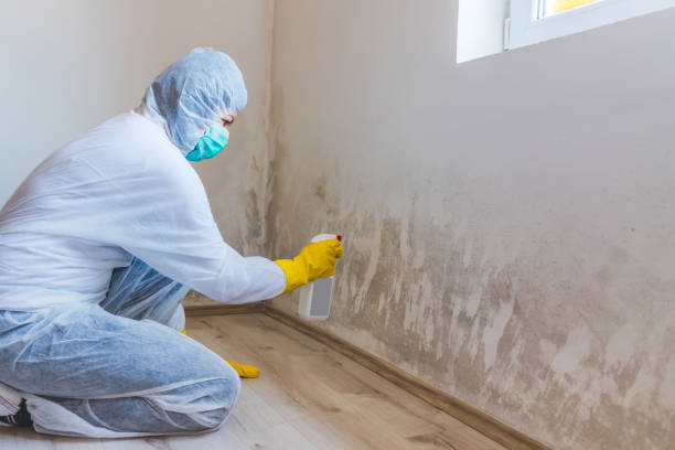 Hvac And Air Duct Mold Remediation inspection of HVAC system in Sanford